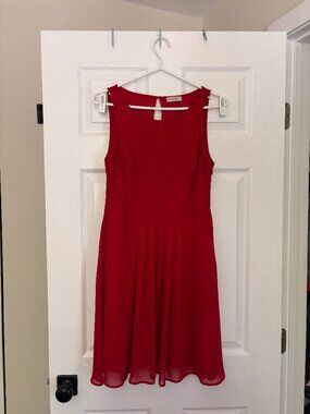 Red Chiffon Fit & Flare Dress | Sleeveless Cocktail Party Dress (Size 6)